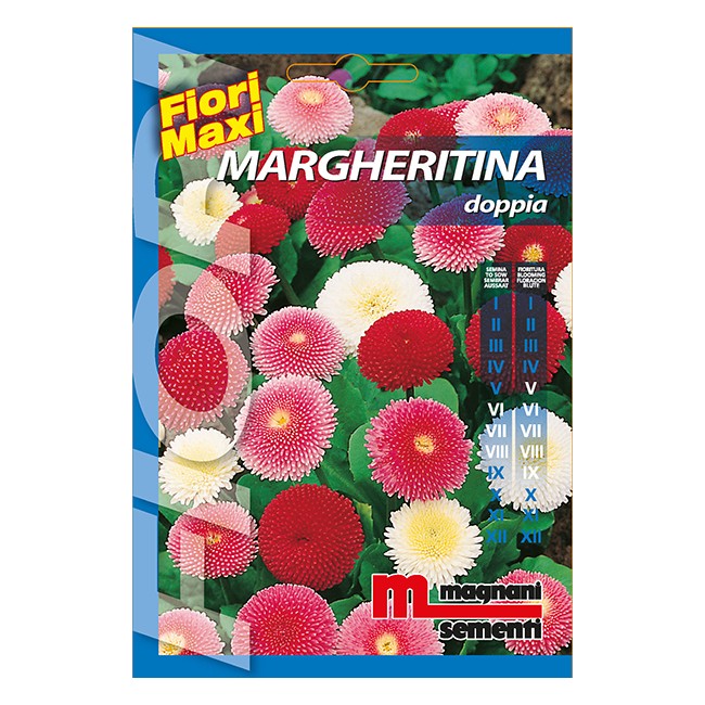 Semi di Margherita Doppia Linea