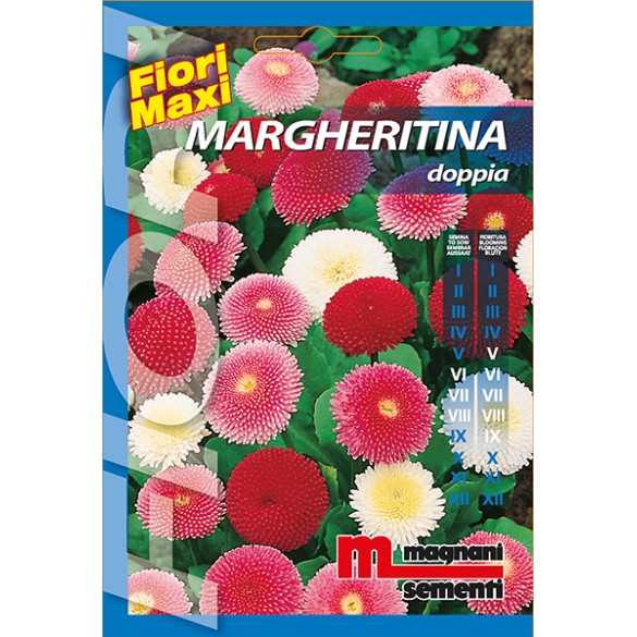 Semi di Margherita Doppia Linea