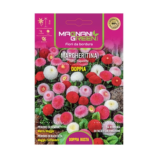 Semi di Margherita Doppia Linea