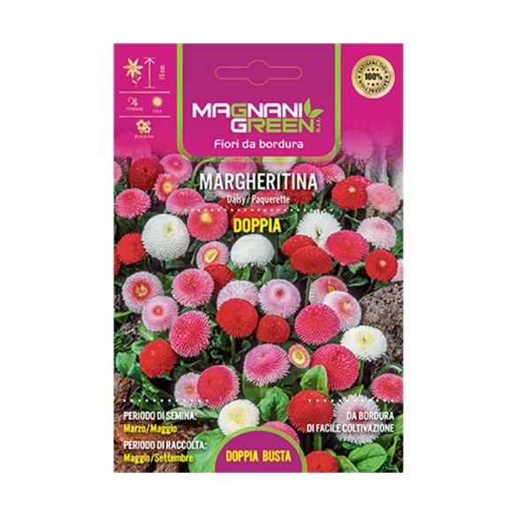 Semi di Margherita Doppia Linea