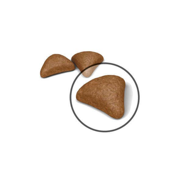 Crocchette Gatto Hairball Care 400 gr - 2kg Royal Canin