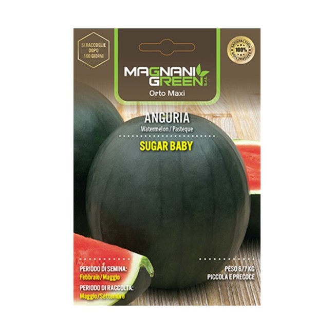 Semi Anguria Sugar Baby