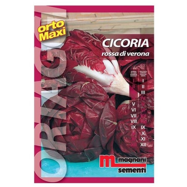 Semi di Cicoria Rossa di Verona