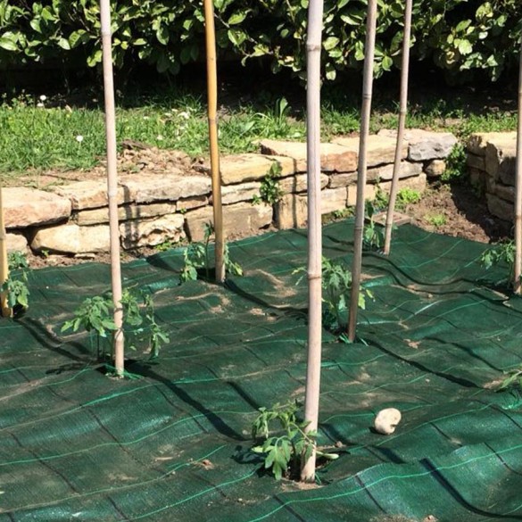 Telo Pacciamante Verde Green Cover 1,05 Misure Assortite by Tenax