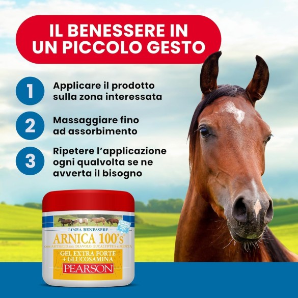 Arnica 100's Gel Extraforte Effetto Freddo Glucosamina Pearson 500ml