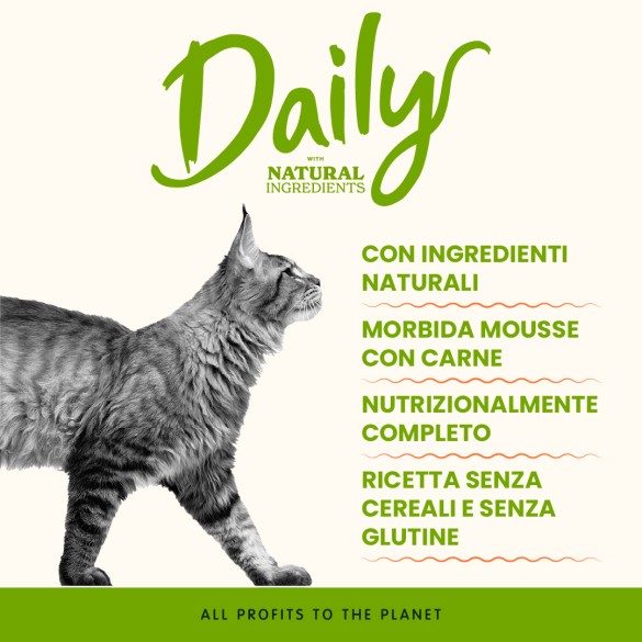 Gatto - Almo Nature Daily Mousse Manzo 380 gr