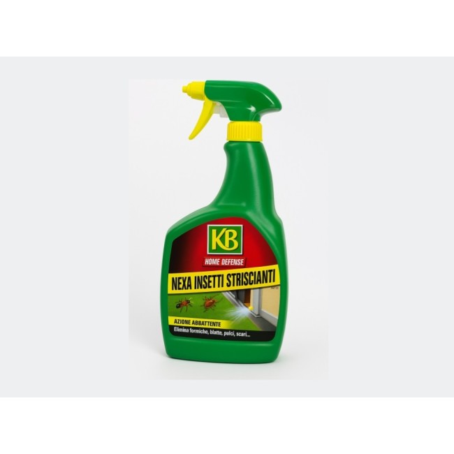 Nexa Insetti Striscianti e Volanti...