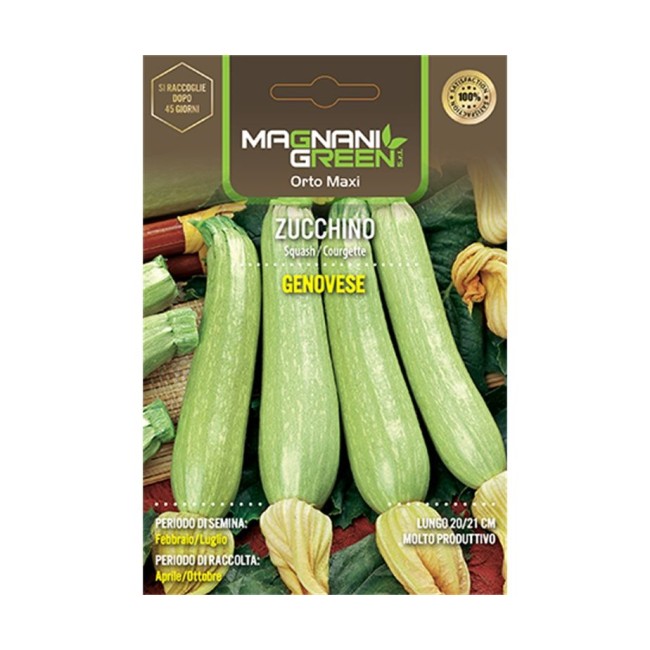 Semi di Zucchino Genovese Orto Maxi