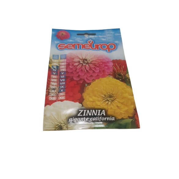 Semi di Zinnia Gigante California