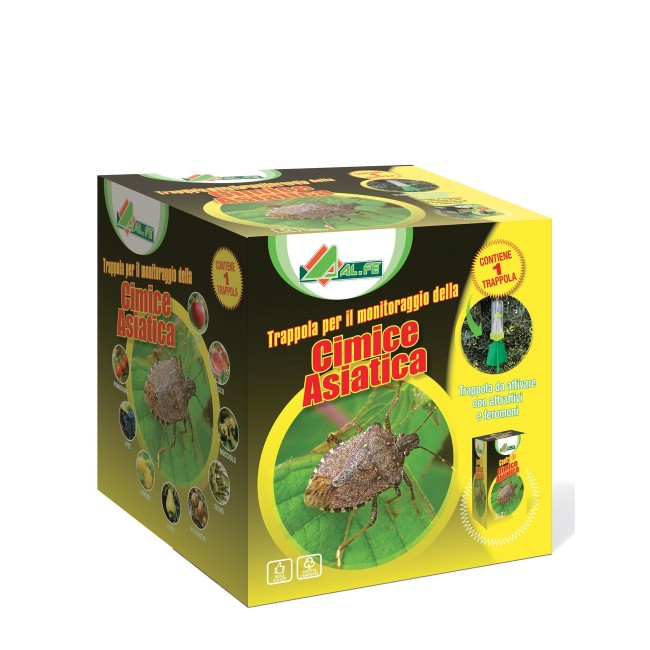 Trappola per Cimice asiatica AL.FE