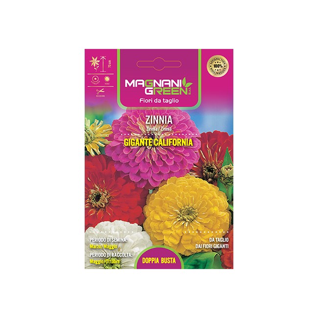 Semi di Zinnia Gigante California