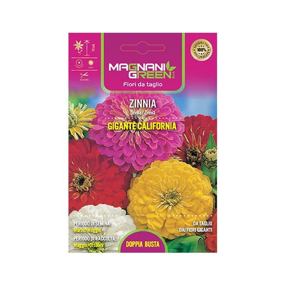 Semi di Zinnia Gigante California