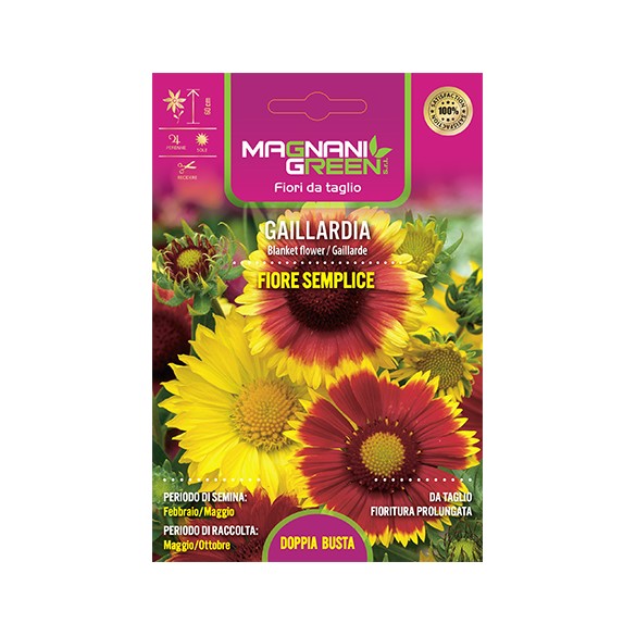 Semi di Gaillardia