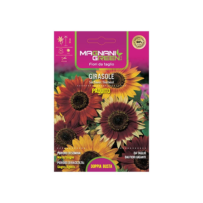 Semi di Girasole Paquito