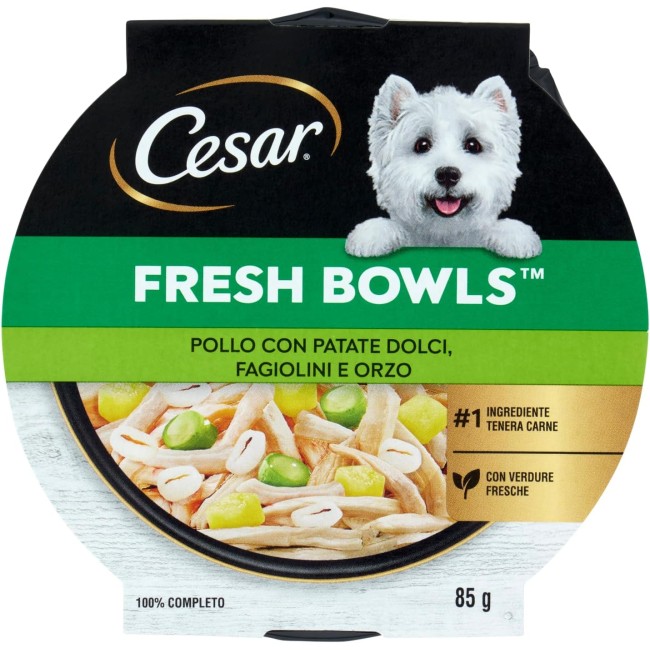 Cesar Fresh Bowls Cibo umido Cane...