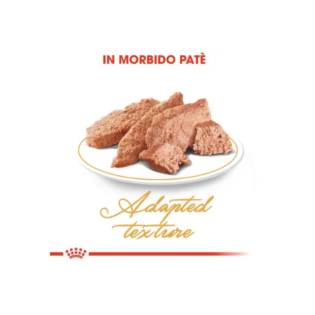 Umido Gatto Busta 85 gr Persian 30...