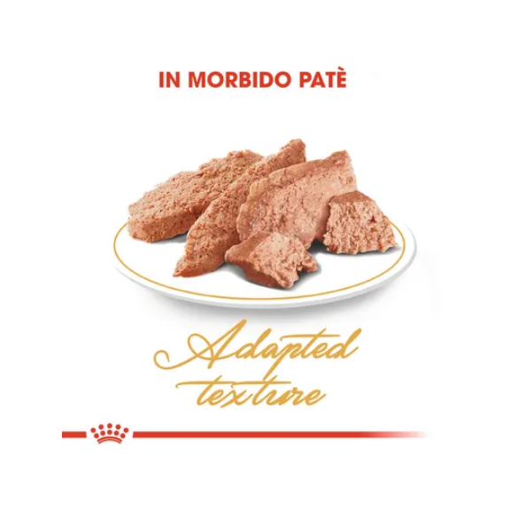 Umido Gatto Busta 85 gr Persian 30 Royal Canin