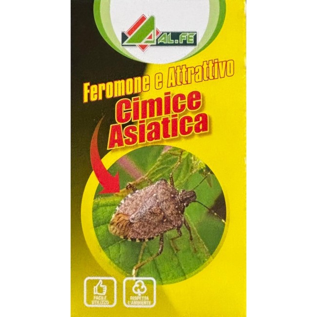 ASTUCCIO ATTRATTIVO + FEROMONE Cimice...