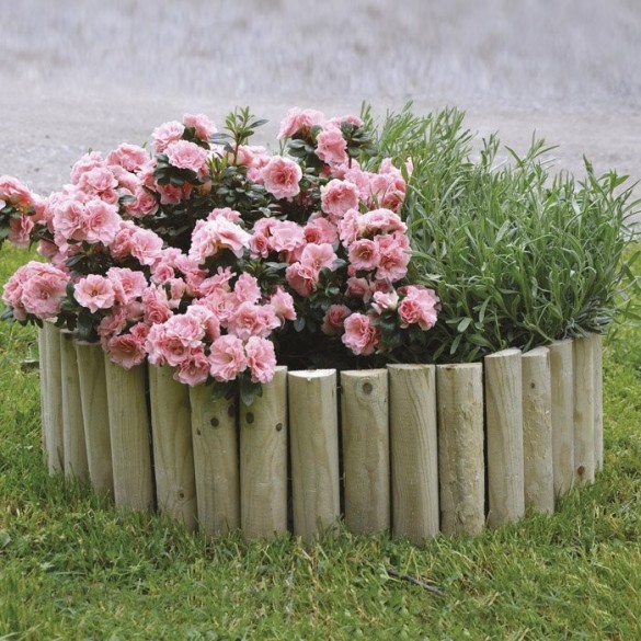 Bordura in Legno 5D h 20x200