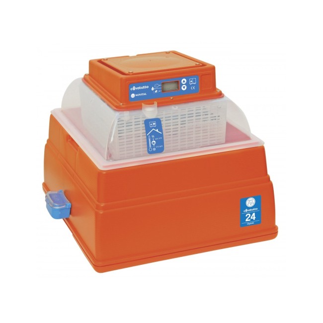 Incubatrice Covatutto 24 Digitale