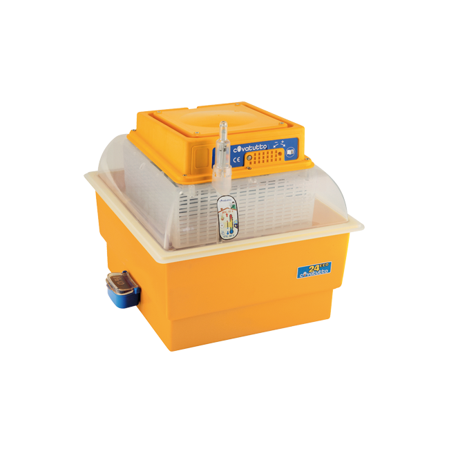 Incubatrice Covatutto 24 ECO