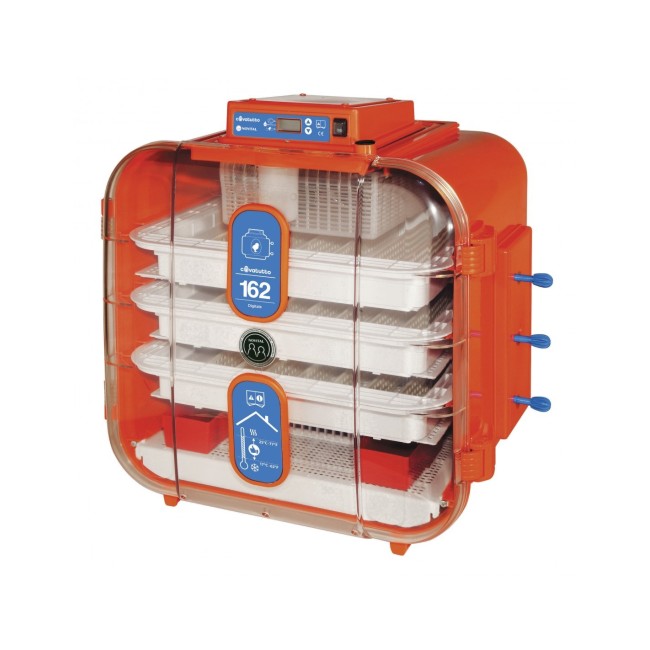 Incubatrice Covatutto 162 Digitale