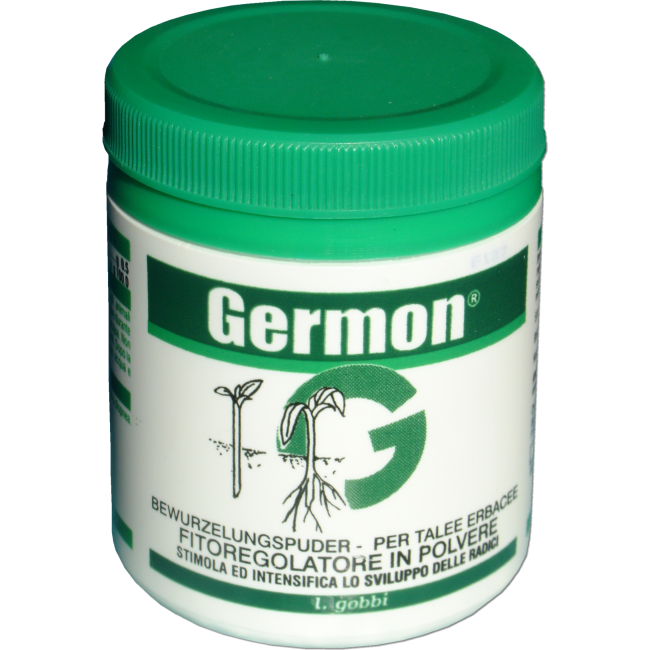 Germon Talee Erbacee 100 Gr.