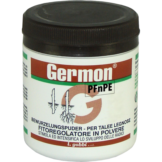 Germon Talee legnose 100 Gr.