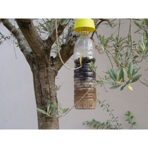 Trappola Ecologica Tap Trap 5 pz