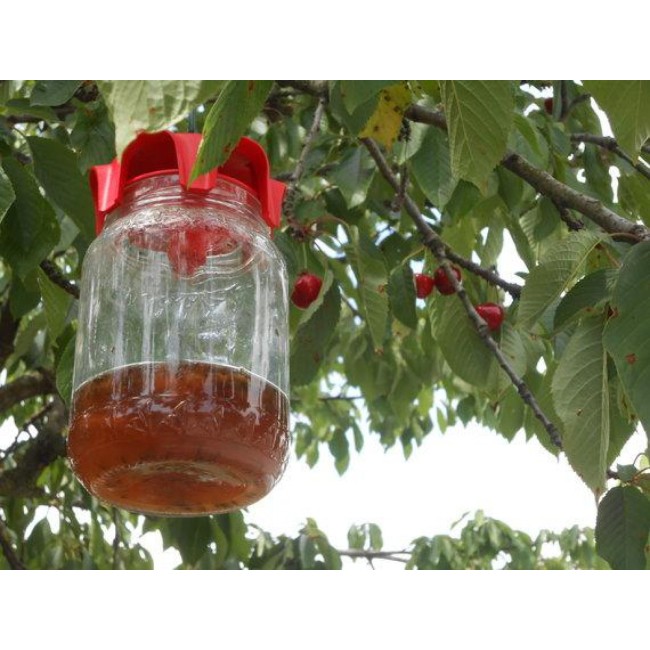 Vaso Trap Rosso 2 pz