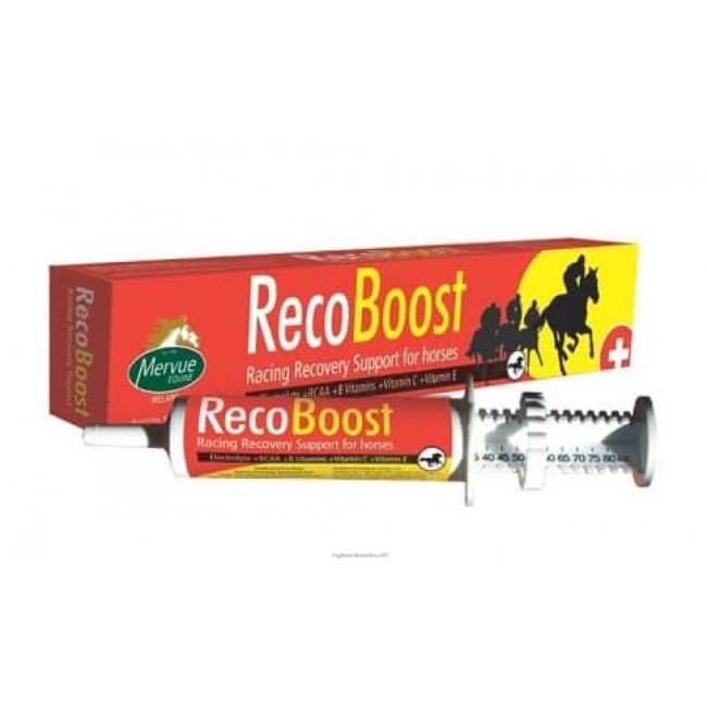 Reco Boost Mervue Pasta 80 ml