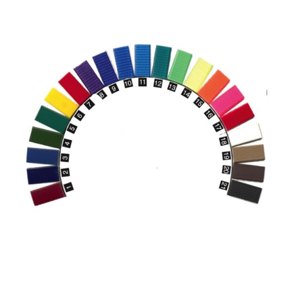 Pettorale + Forchetta Biothane