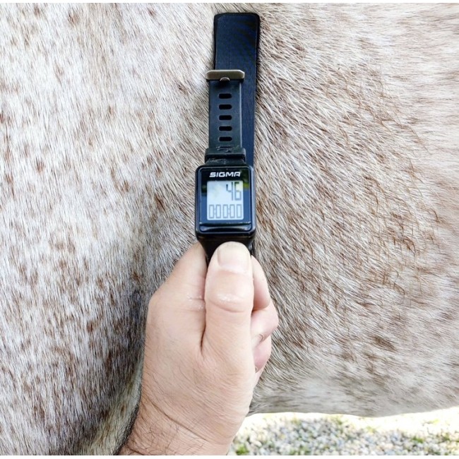 Maniglia per Cardiofrequenzimetro...