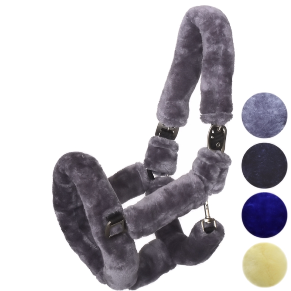 Capezza Winner in Agnello Save the Sheep