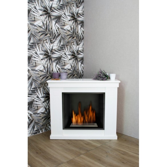 Camino a Bioetanolo Raffaello Bianco