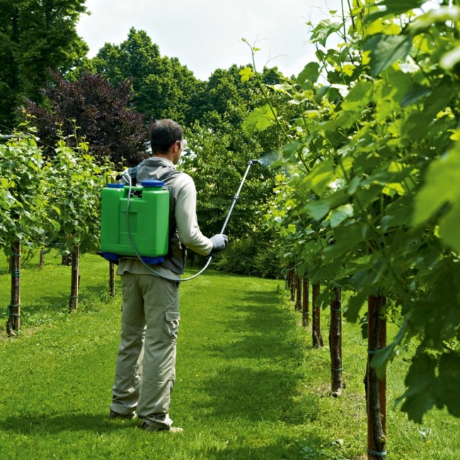 Pompa Rosy DI MARTINO Disponibile nei formati 12-16-22 lt