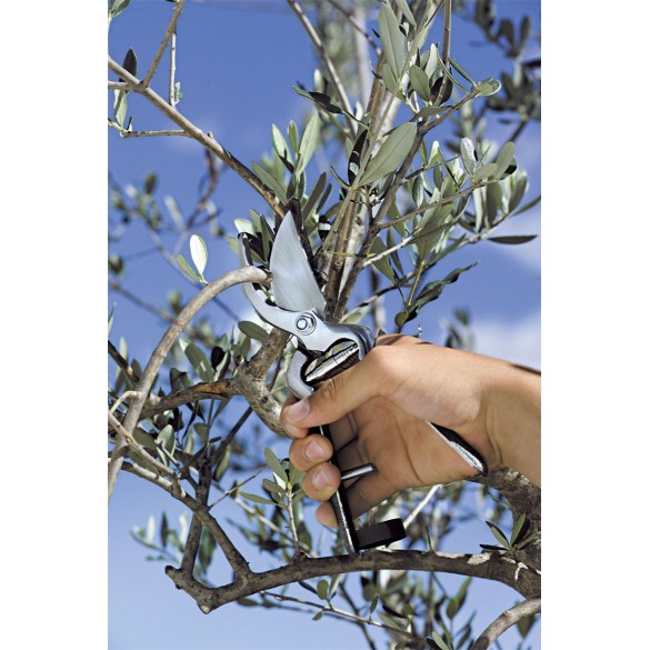 Forbice da potatura 19 cm STOCKER