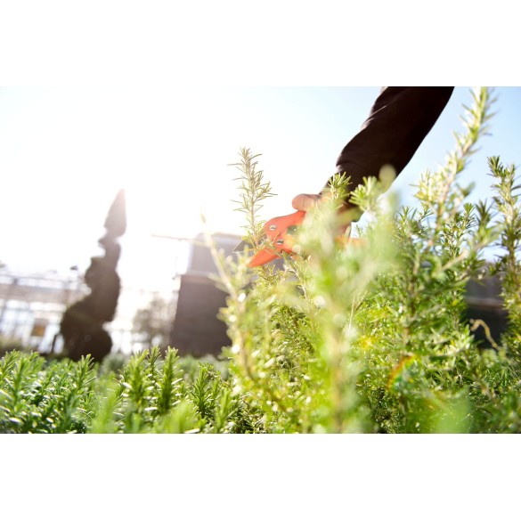 Forbice a Cricchetto 17 STOCKER