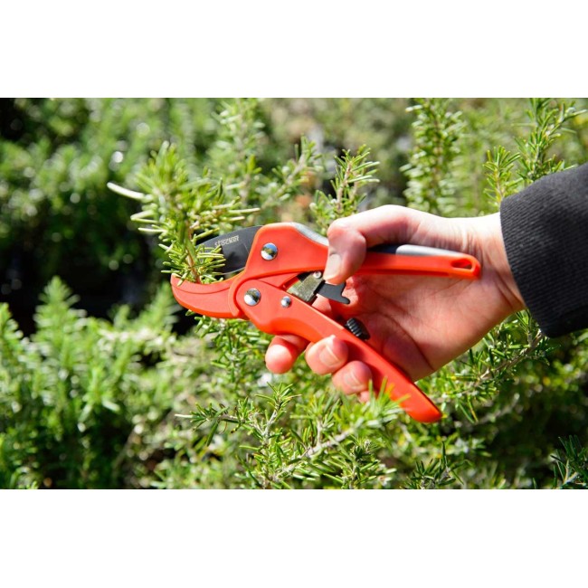 Forbice a Cricchetto 17 STOCKER