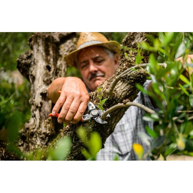 Forbice a Lama Piatta Ergo Light 21 STOCKER