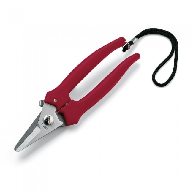 Forbice per Vendemmia Inox Lama Corta