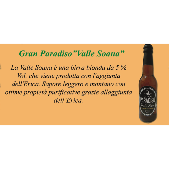 Birra artigianale "VALLE SOANA"