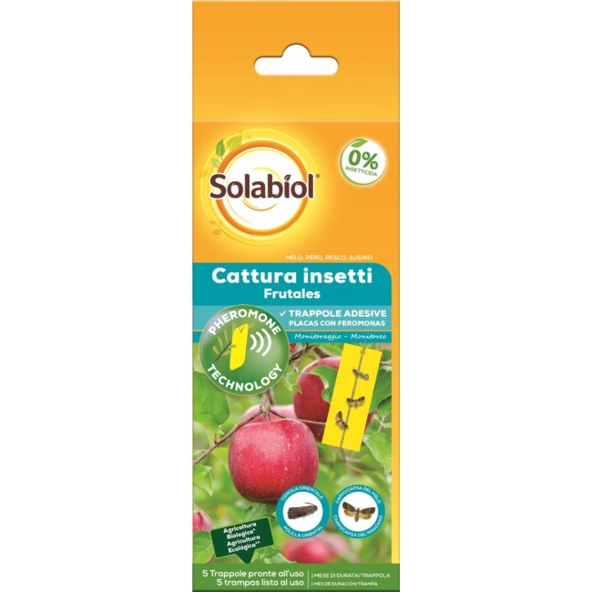 Cattura Insetti Frutta confezione da 5 pz