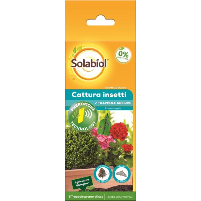 Cattura Insetti Ornamentali confezione da 5 pz