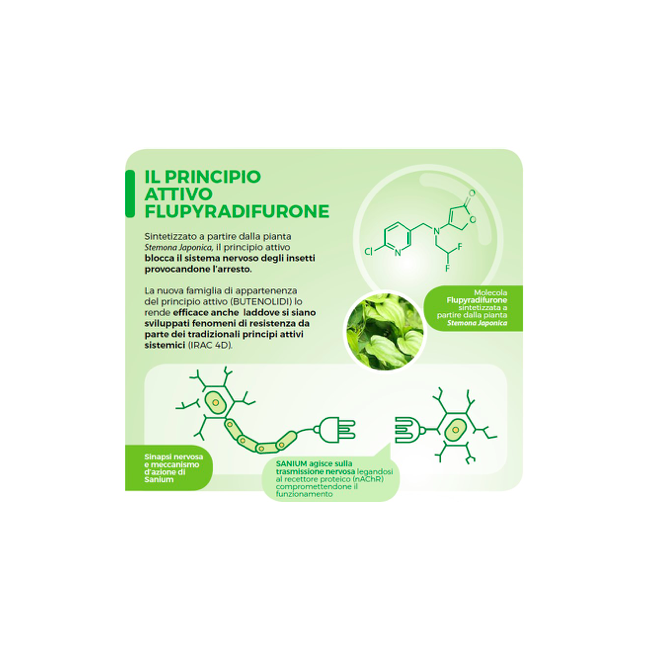 Insetticida Sistemico Sanium Pin in Pastiglie