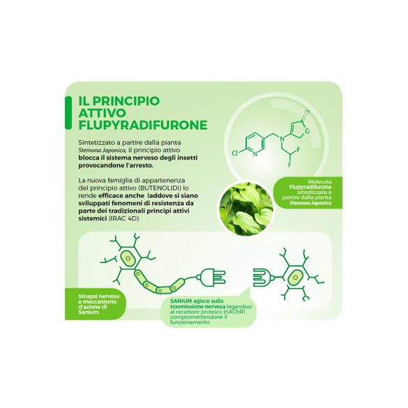 Insetticida Sistemico Sanium Pin in Pastiglie