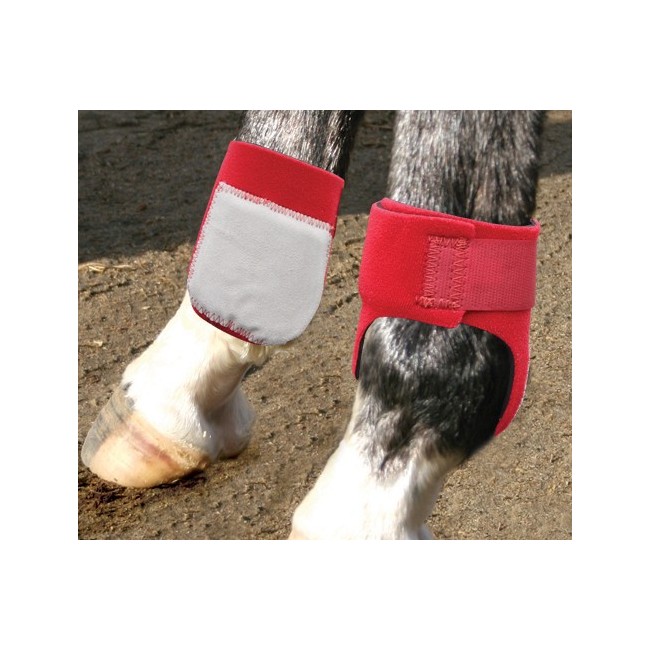 Paranocca Posteriore Professional's Choice