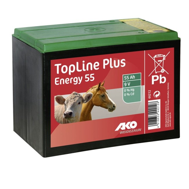 Batteria a Secco 9 V 55 Ah