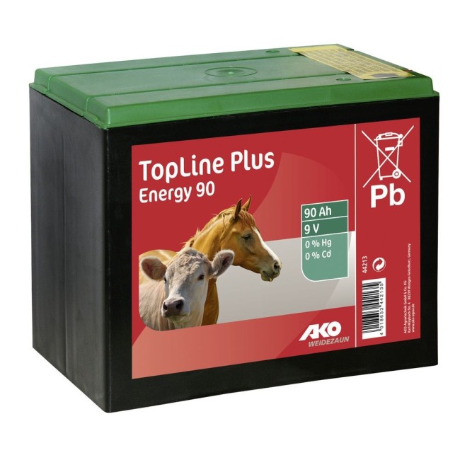 Batteria a Secco 9 V 90 Ah