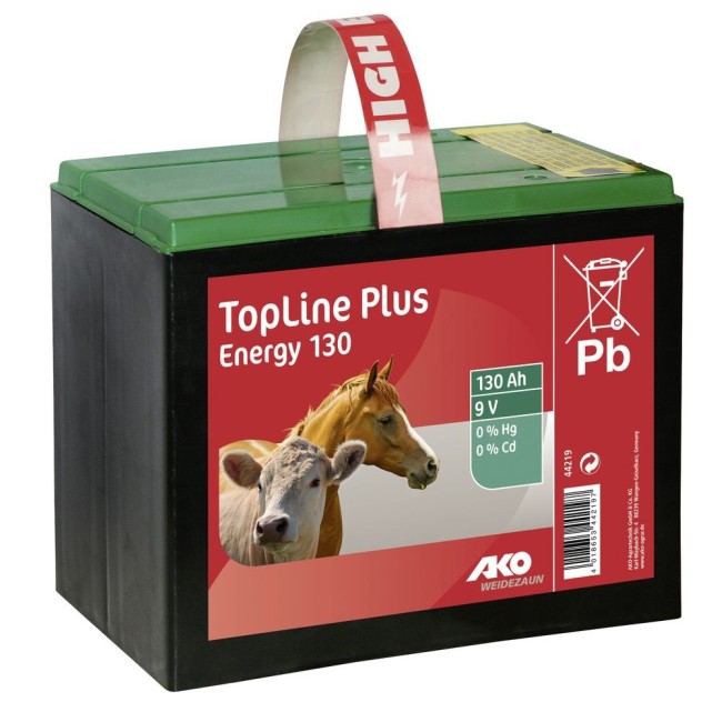 Batteria a Secco 9 V 130 Ah